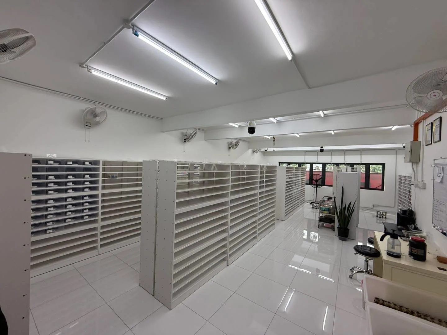 When a Hobby Became a Business — photo